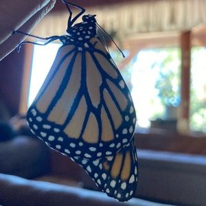 Meet your Posher, Elana